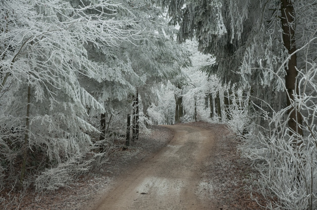 ice crystal frozen free photo