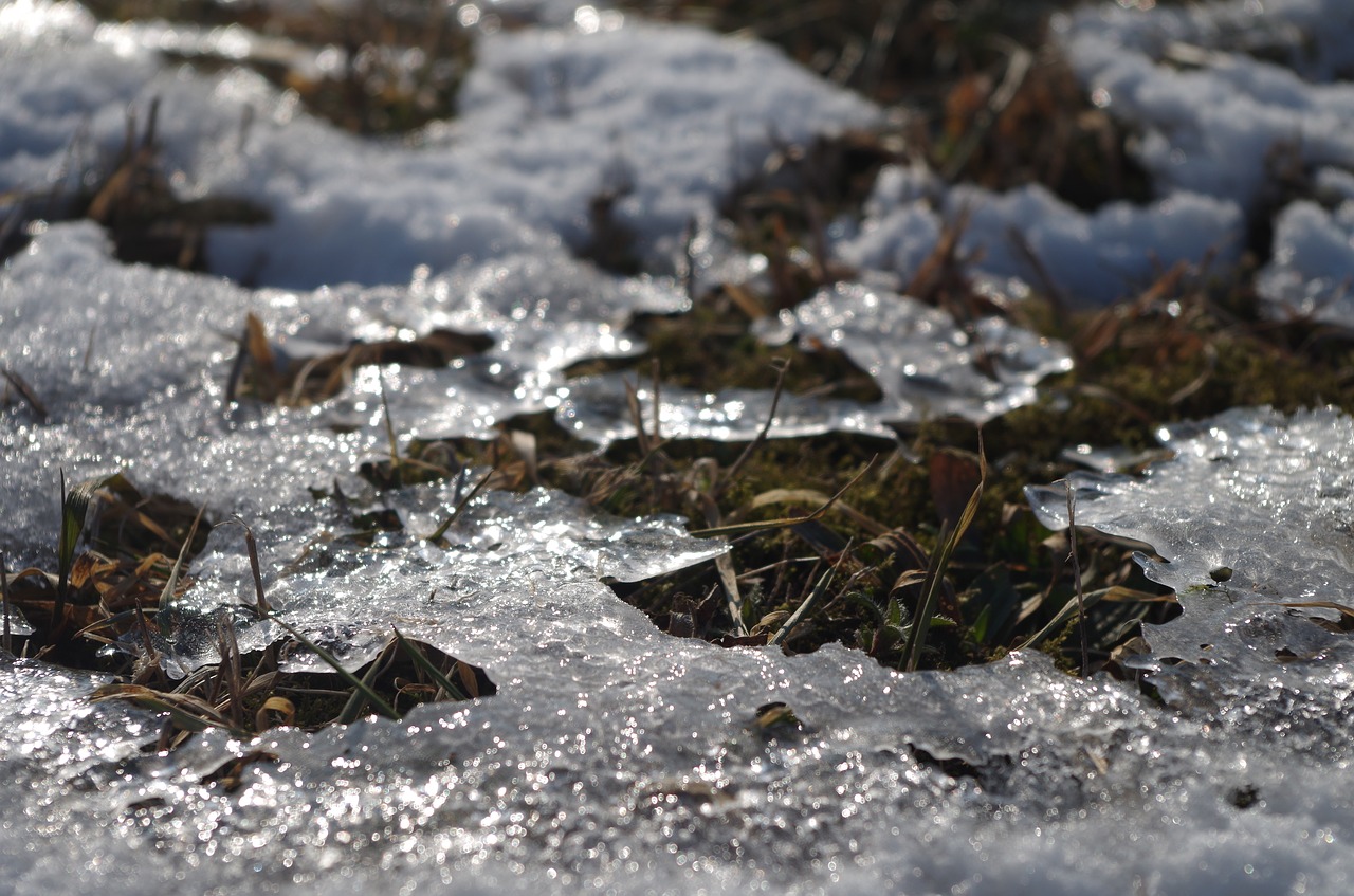 ice snow winter free photo