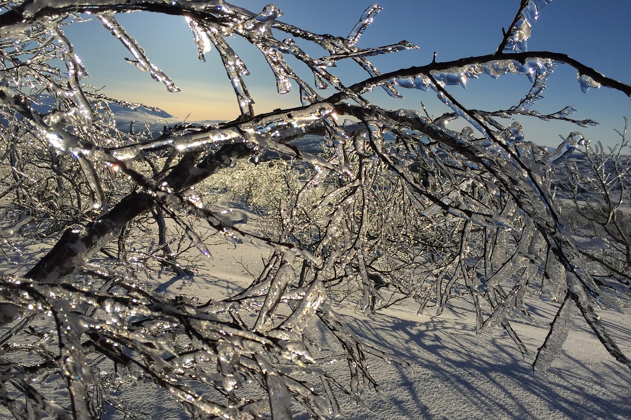 ice icicles snow free photo