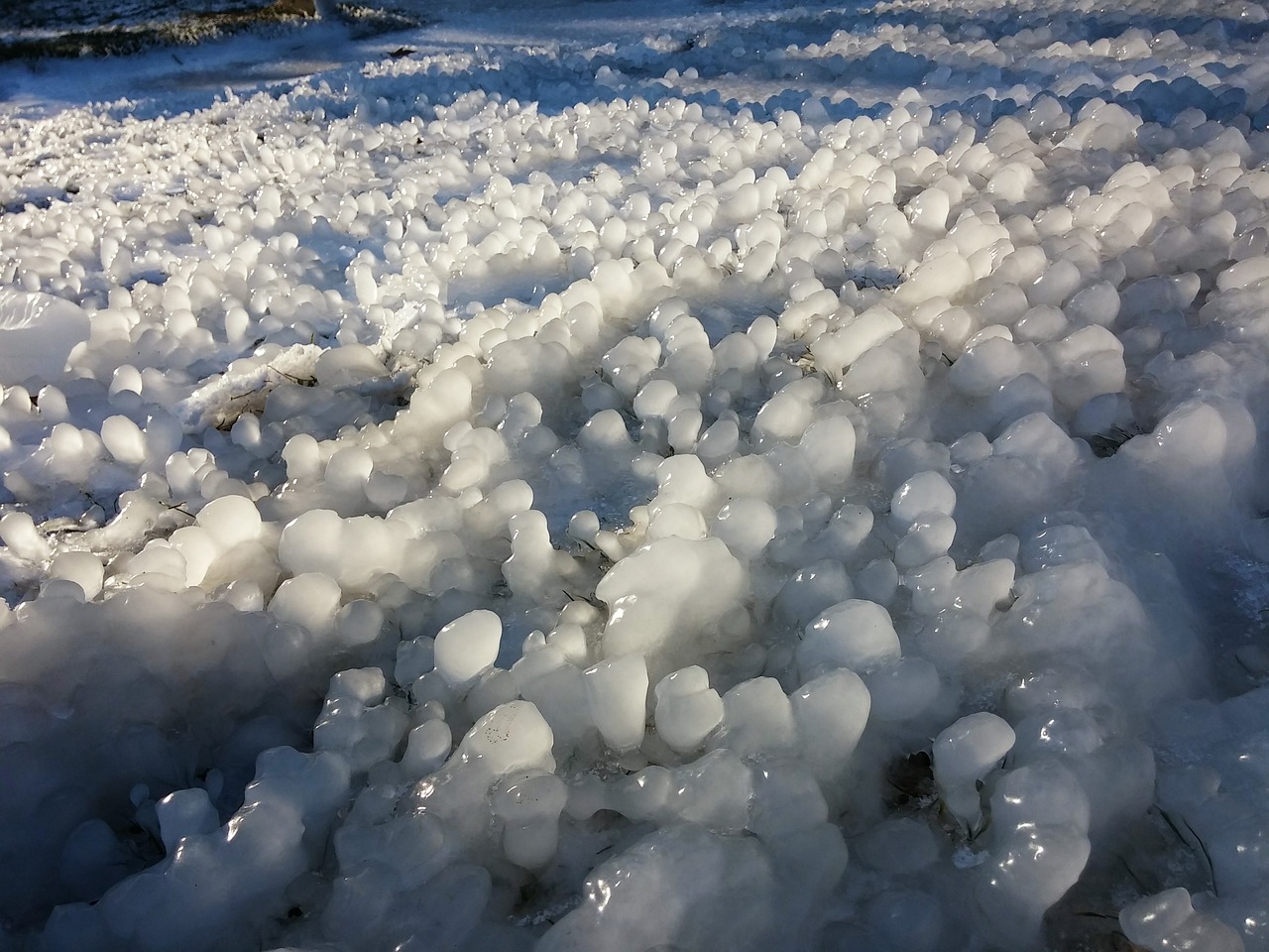 ice lake balaton winter free photo