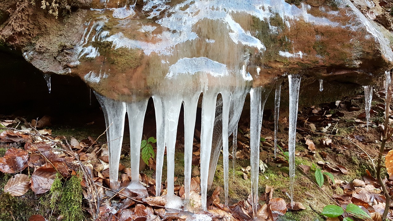 ice icicle winter free photo