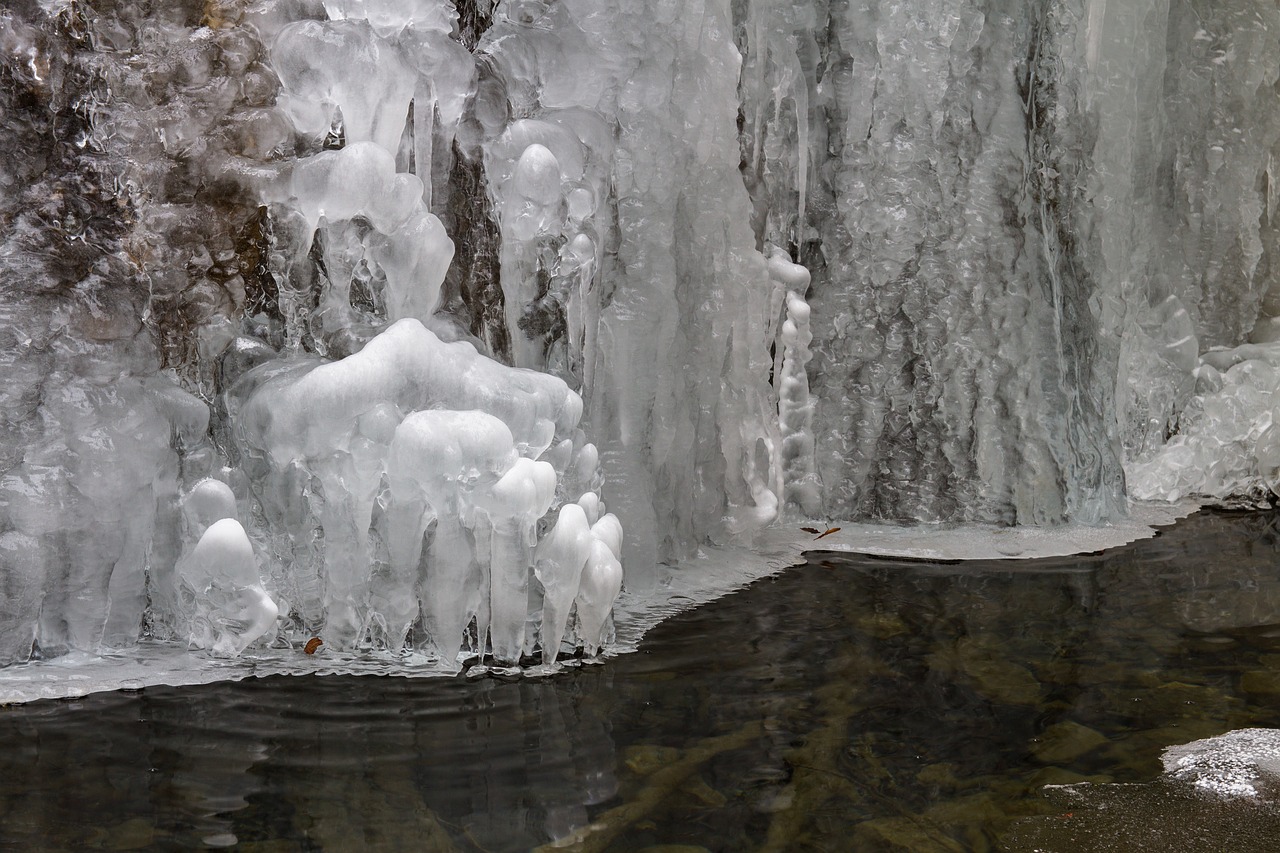 ice frost winter free photo