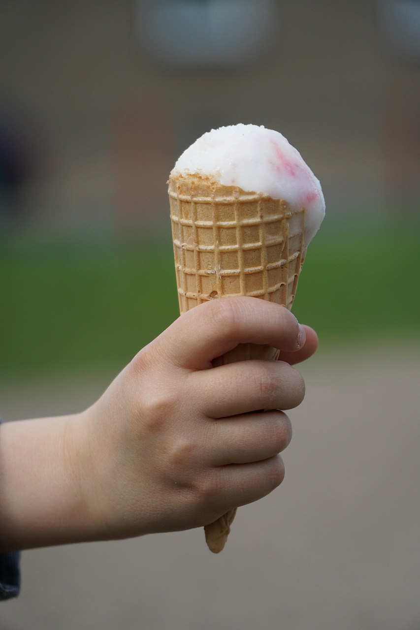 ice hand ice cream cone free photo