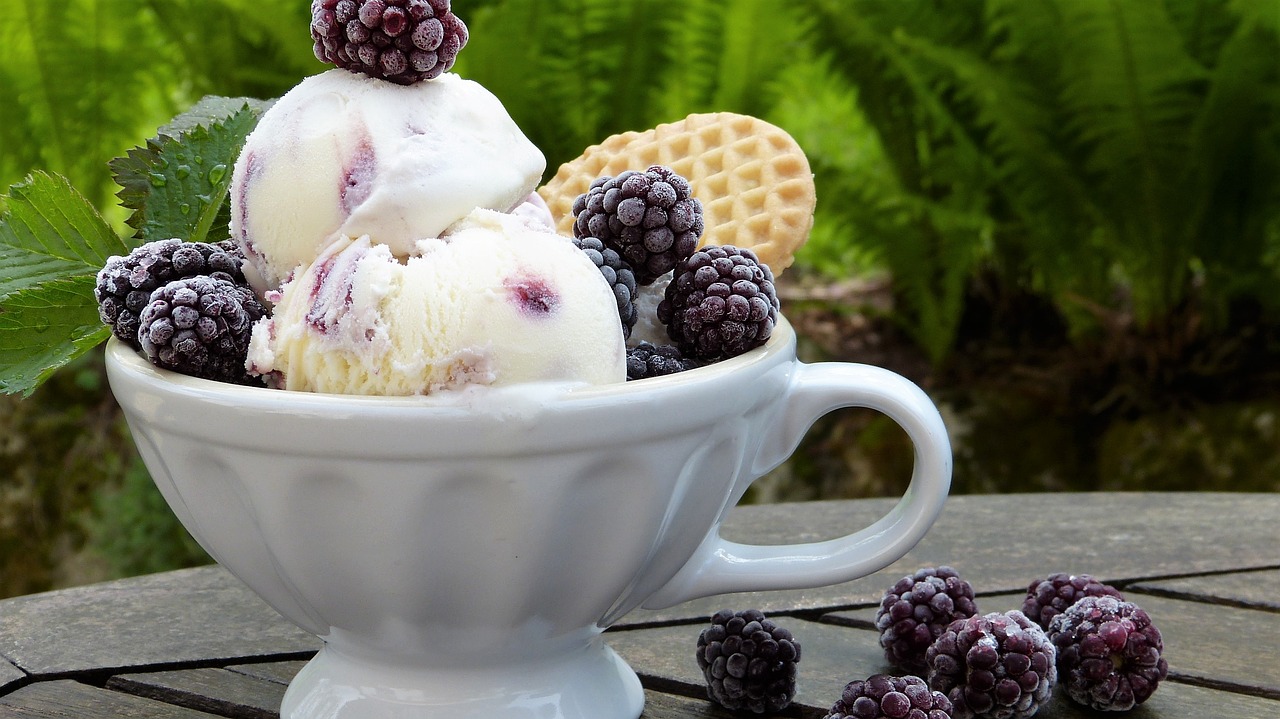 ice ice cream blackberries free photo