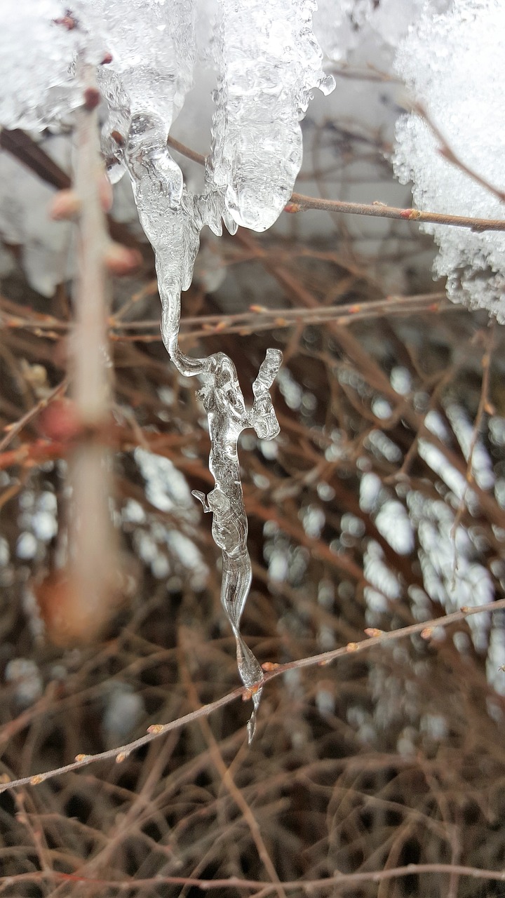 ice snow snowflake free photo