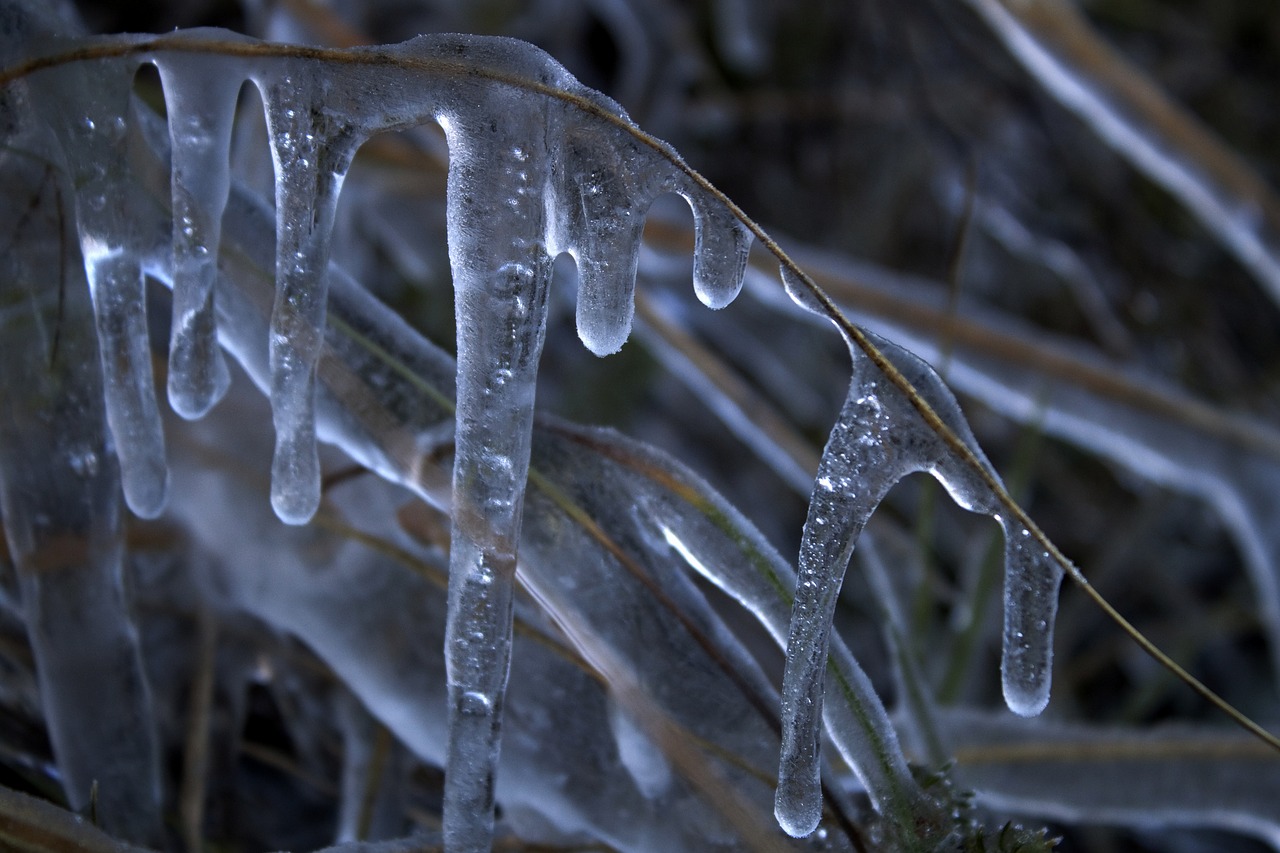 ice nature cold free photo