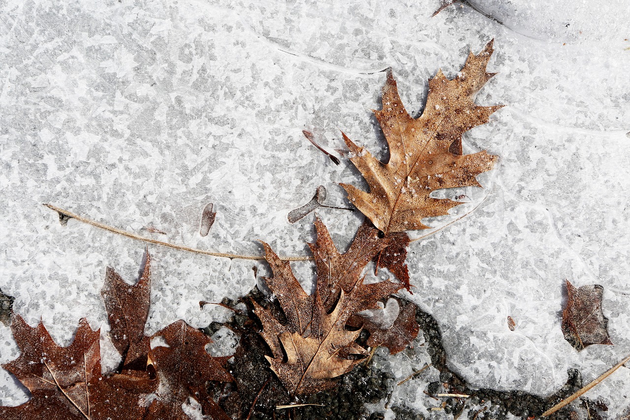 ice snow ground free photo