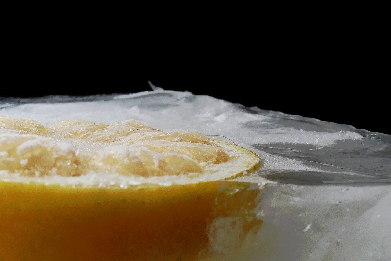 ice lemon eiszitrone free photo