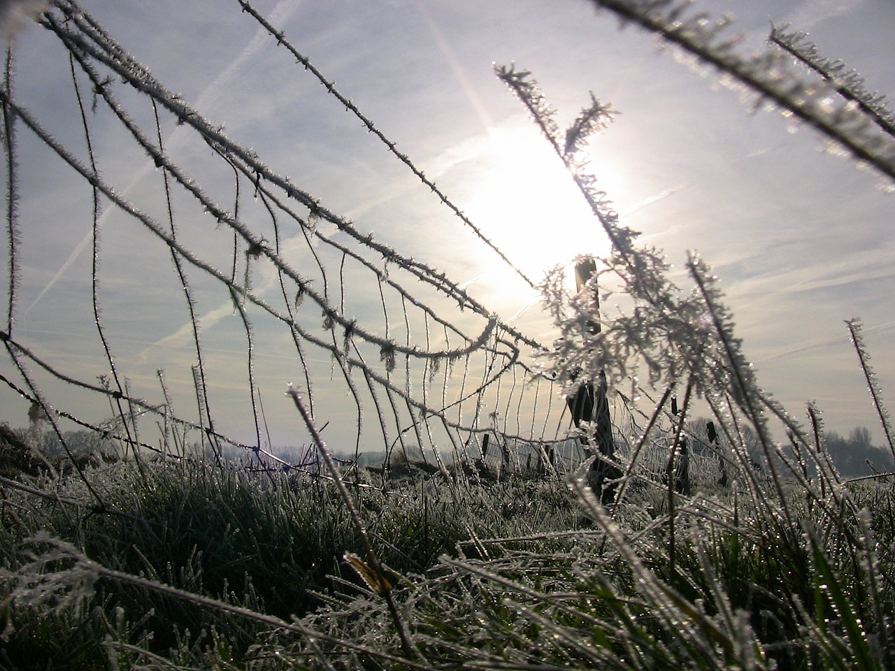 ice winter fence free photo