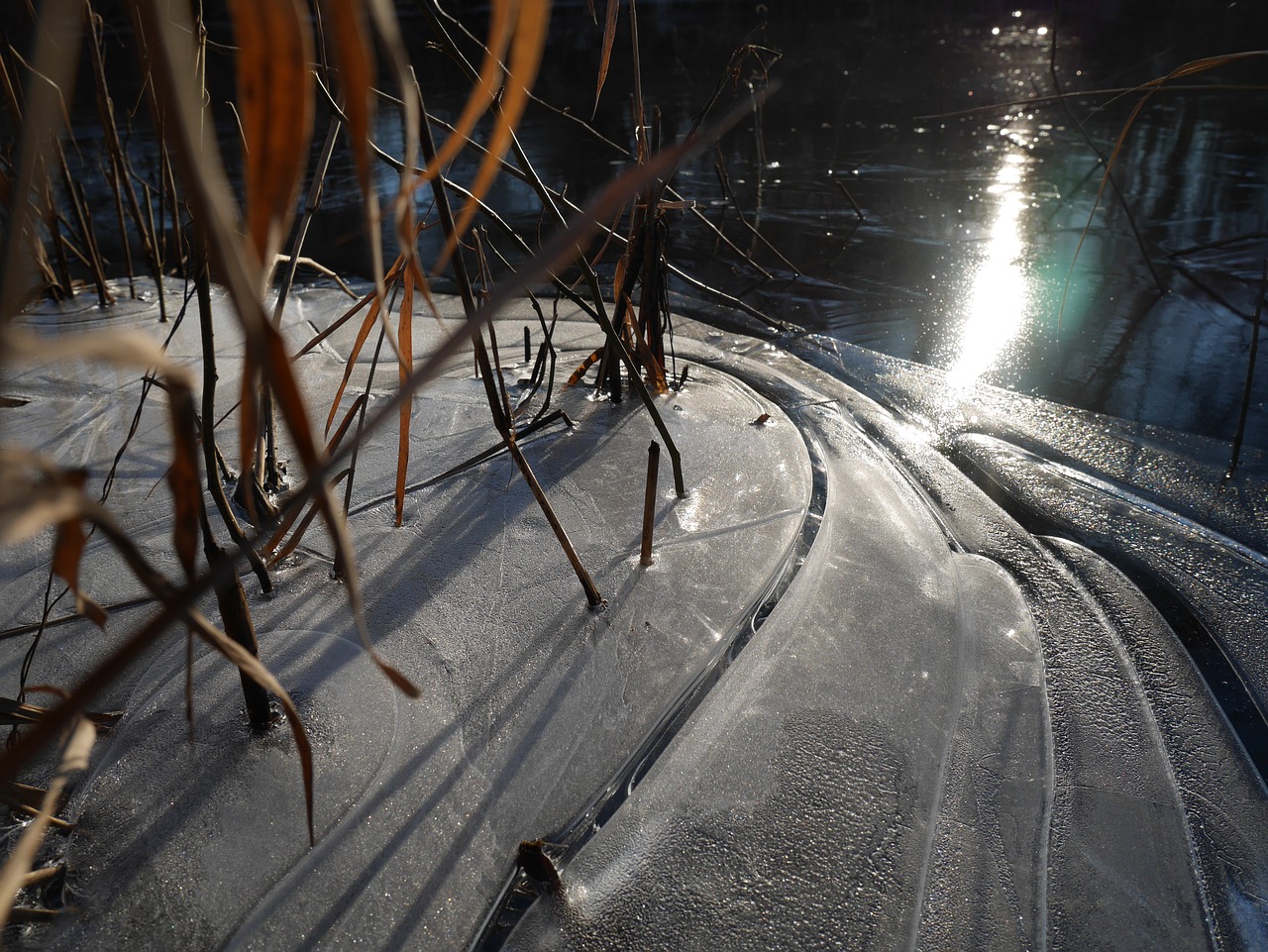 ice pond winter free photo