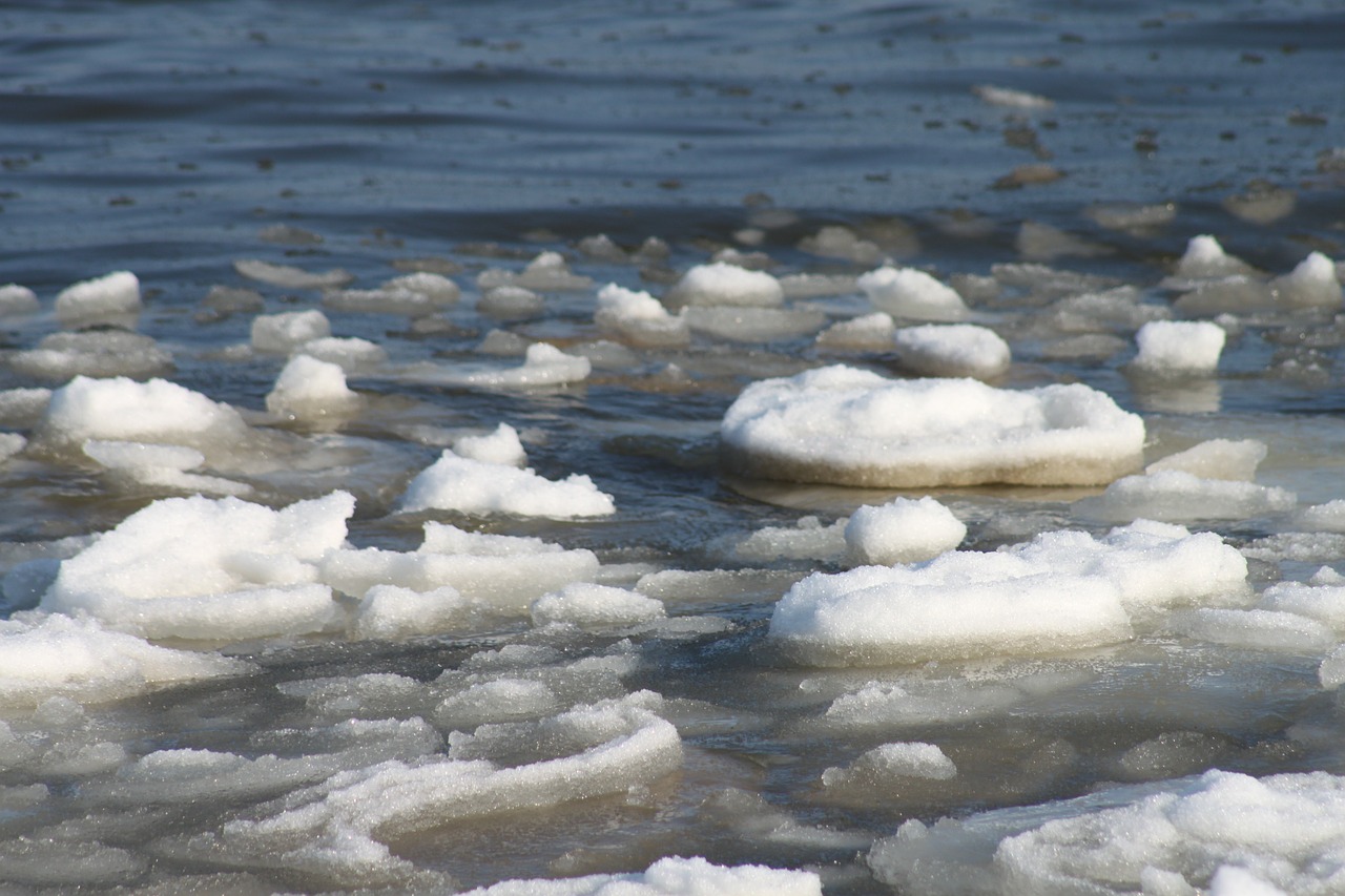 ice ice floes sea free photo