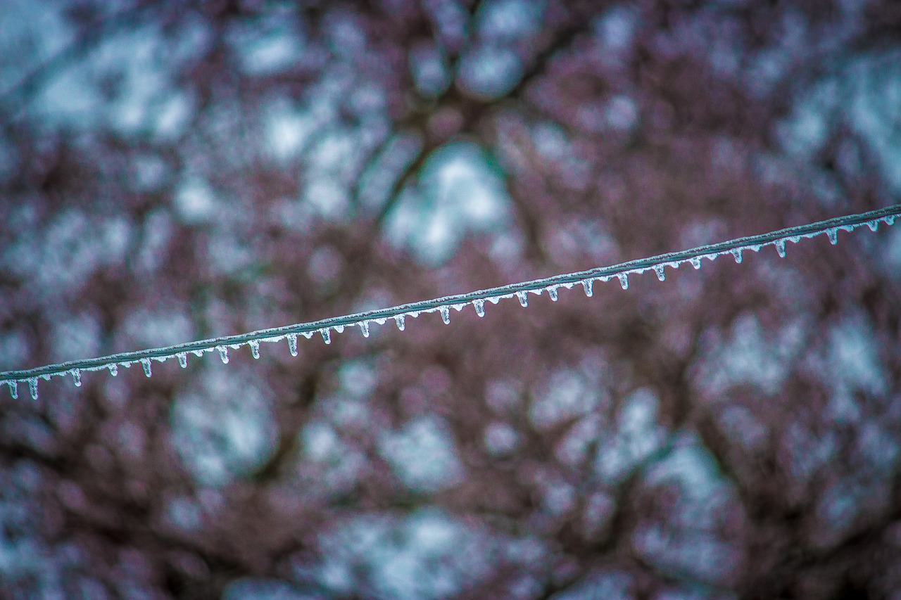 ice wire winter free photo