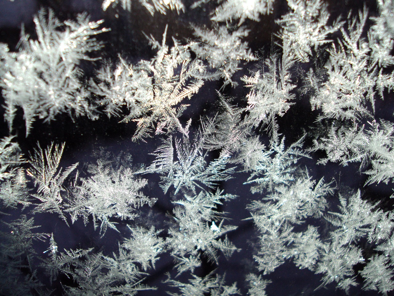 ice crystals frozen free photo