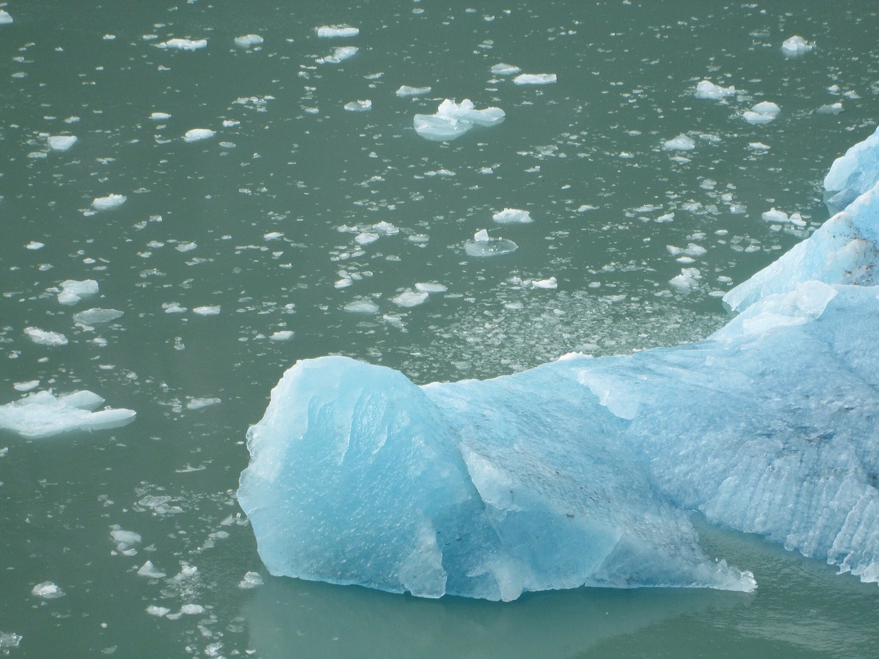 ice iceberg glacial ice free photo