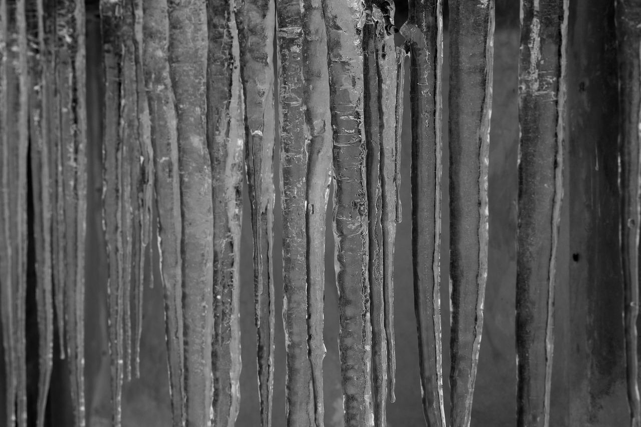 ice icicles cold free photo