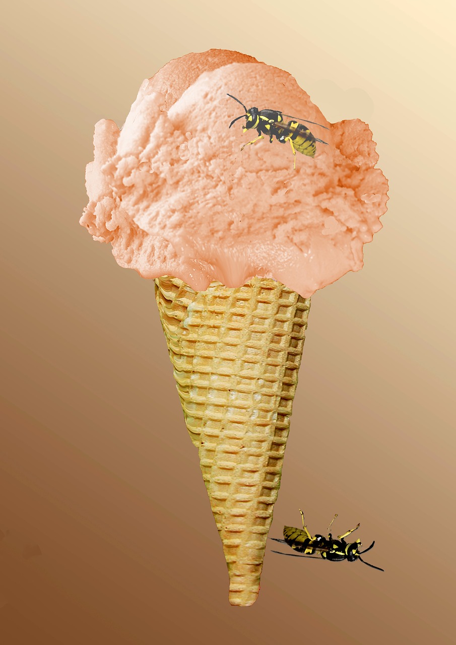 ice ice cream cone waffle free photo