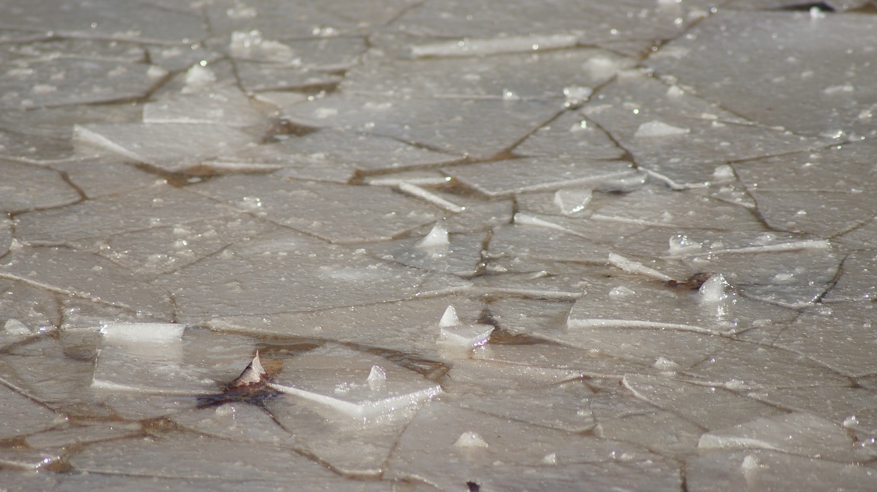 ice  plaice  pond free photo