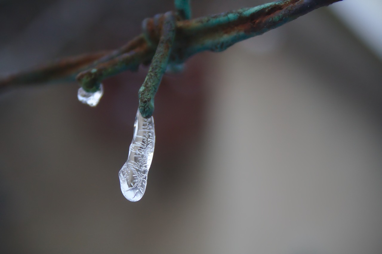 ice  barbed wire  fence free photo