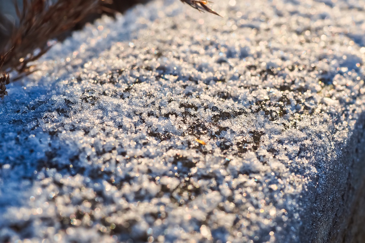 ice  eiskristalle  winter free photo