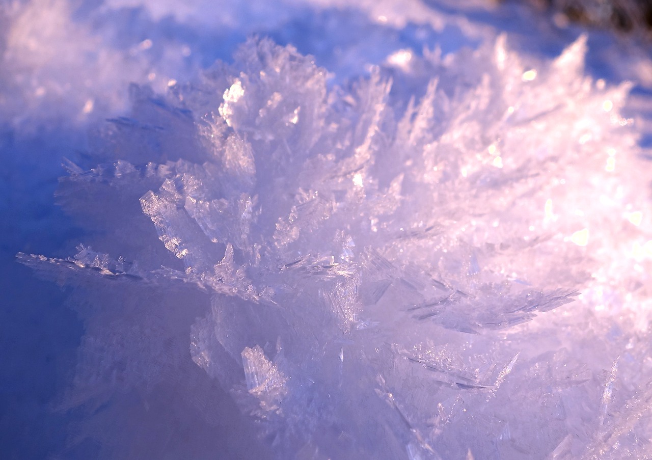 ice  crystals  frost free photo