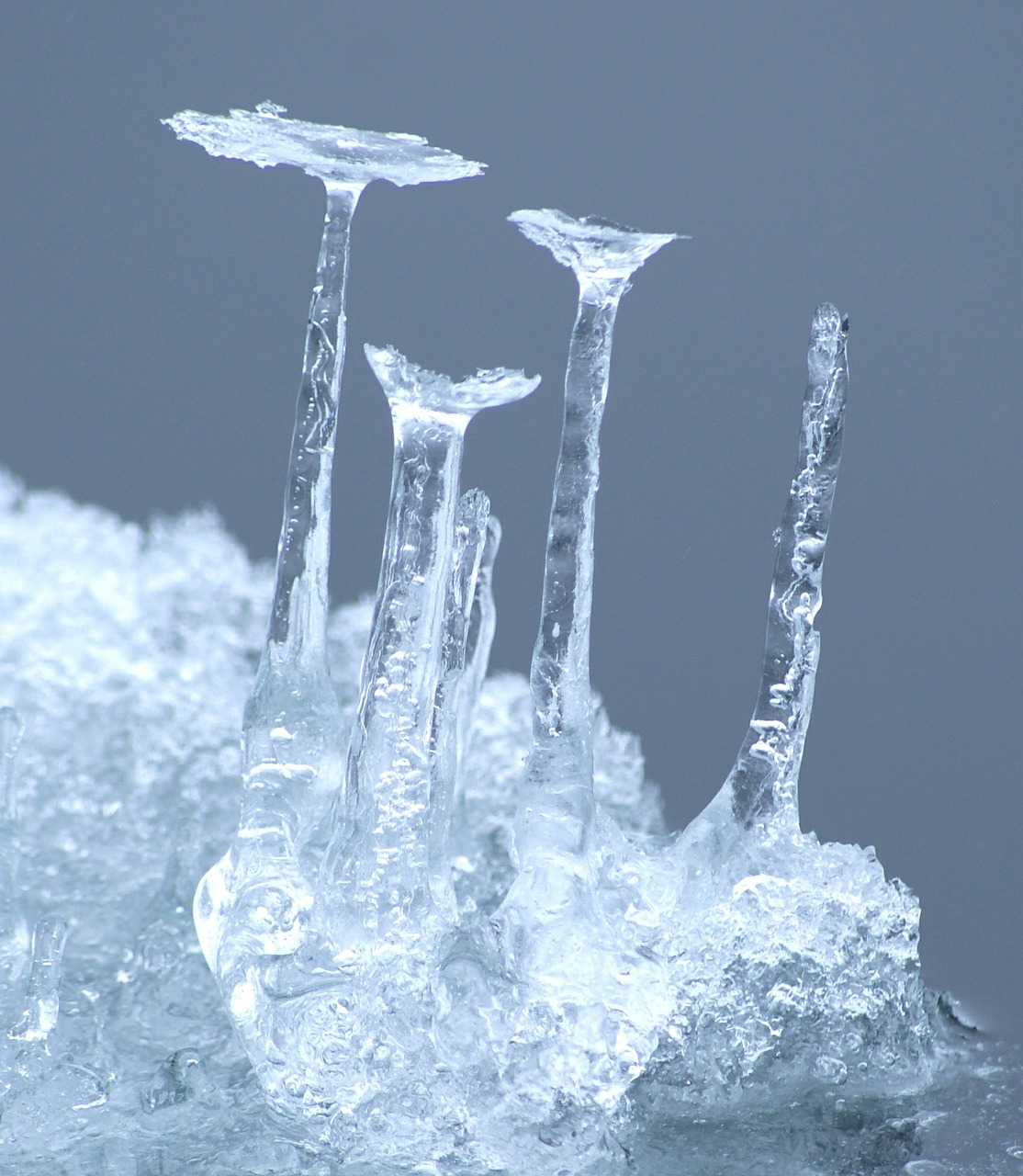 ice icicle cold free photo