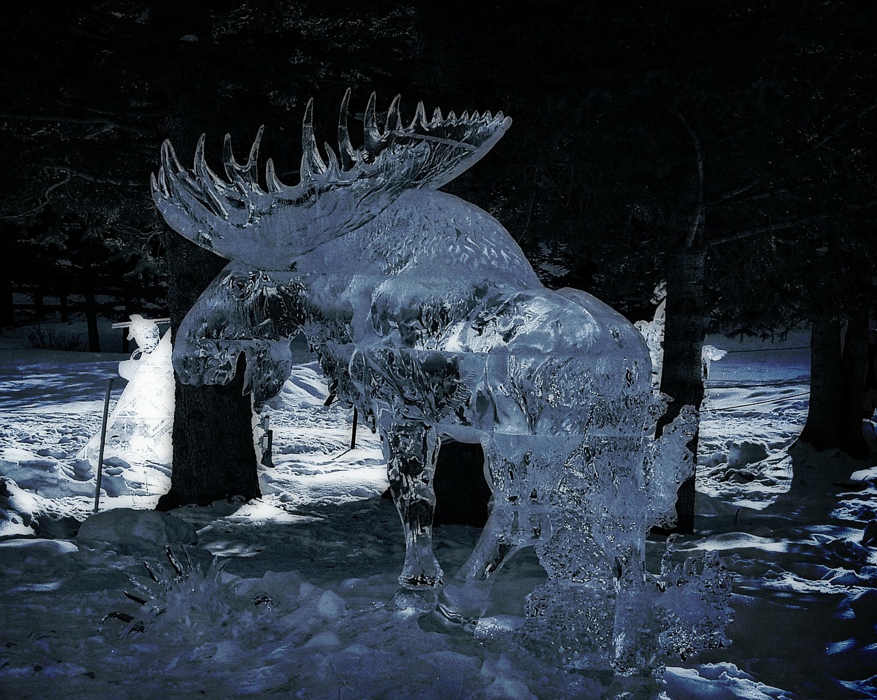 ice moose carving free photo