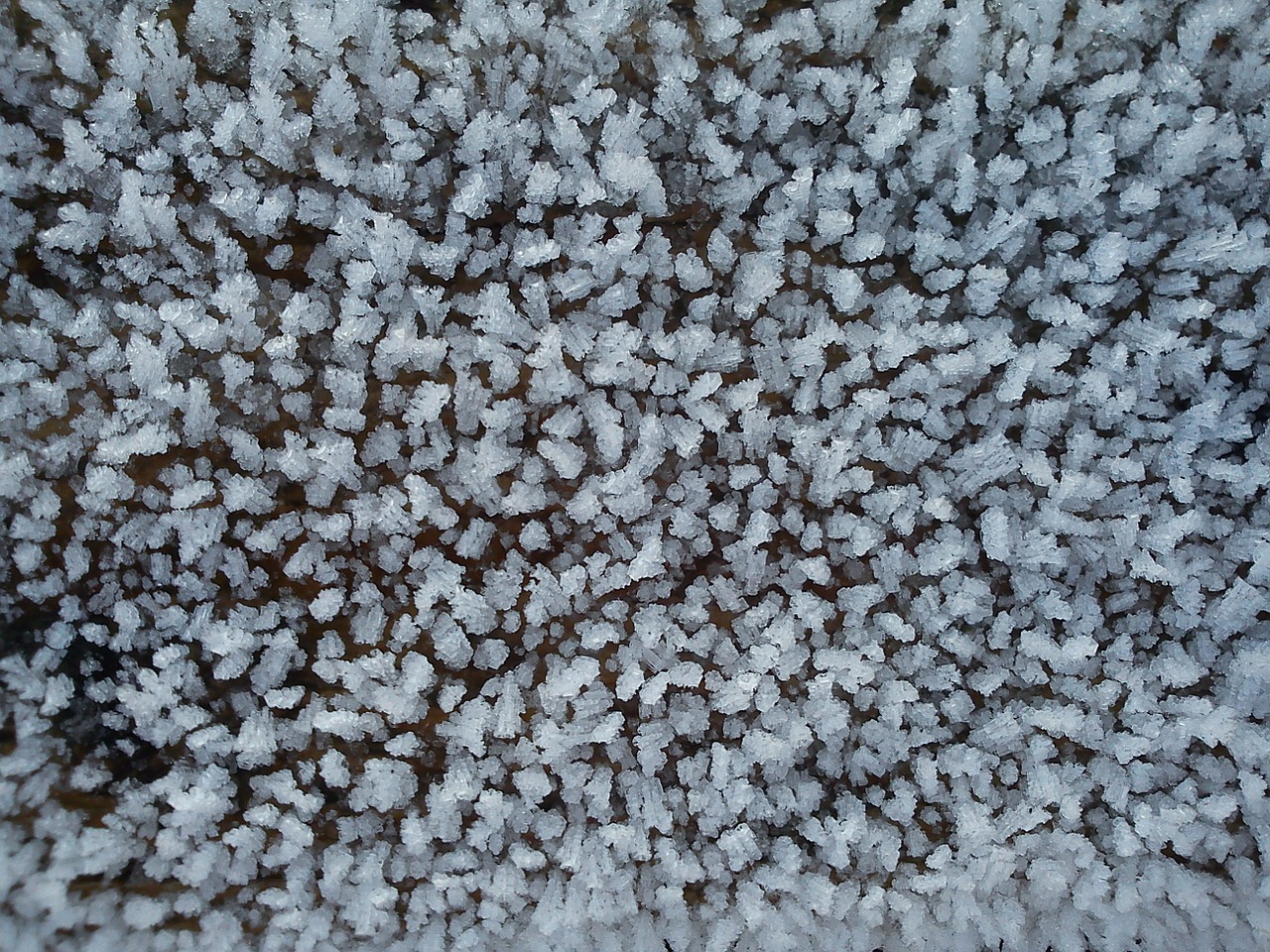 ice crystals hoarfrost free photo