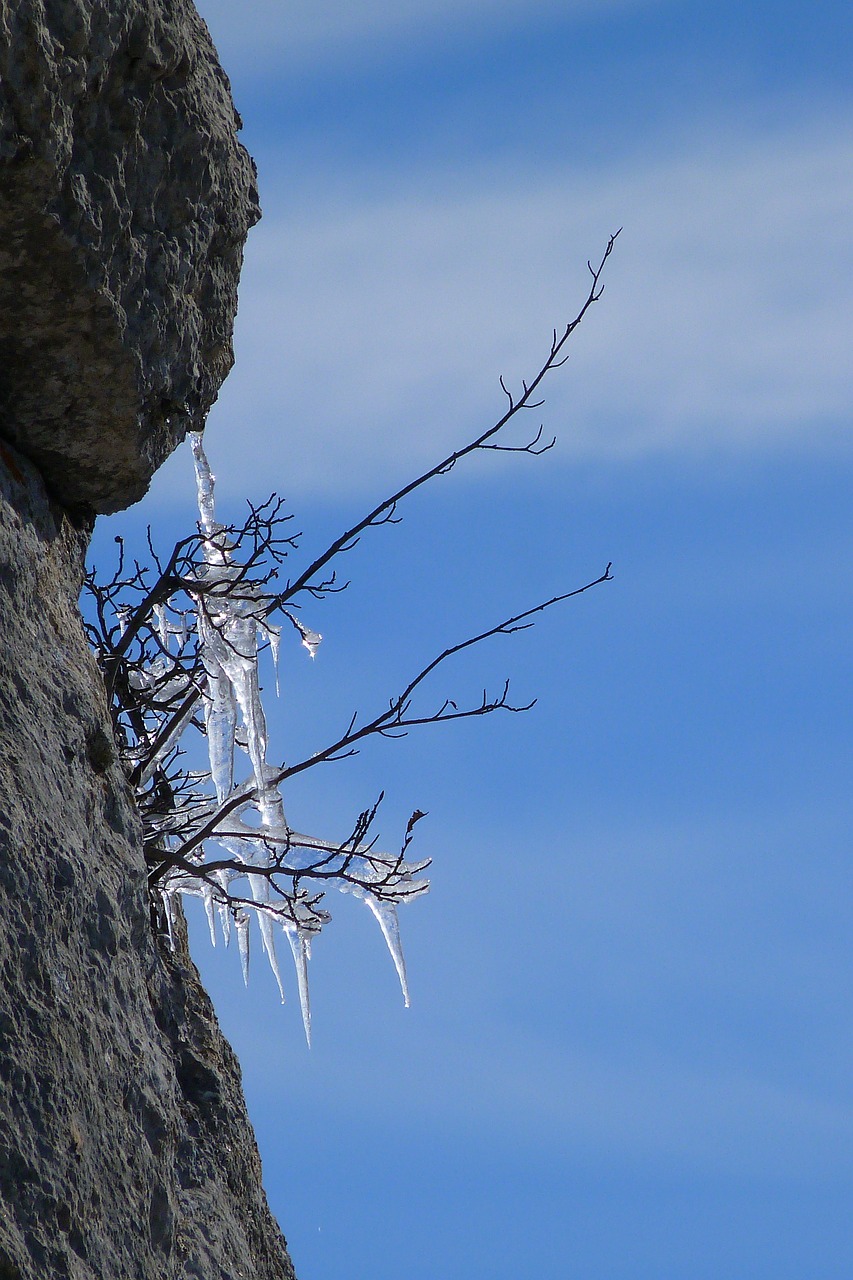 ice training winter free photo