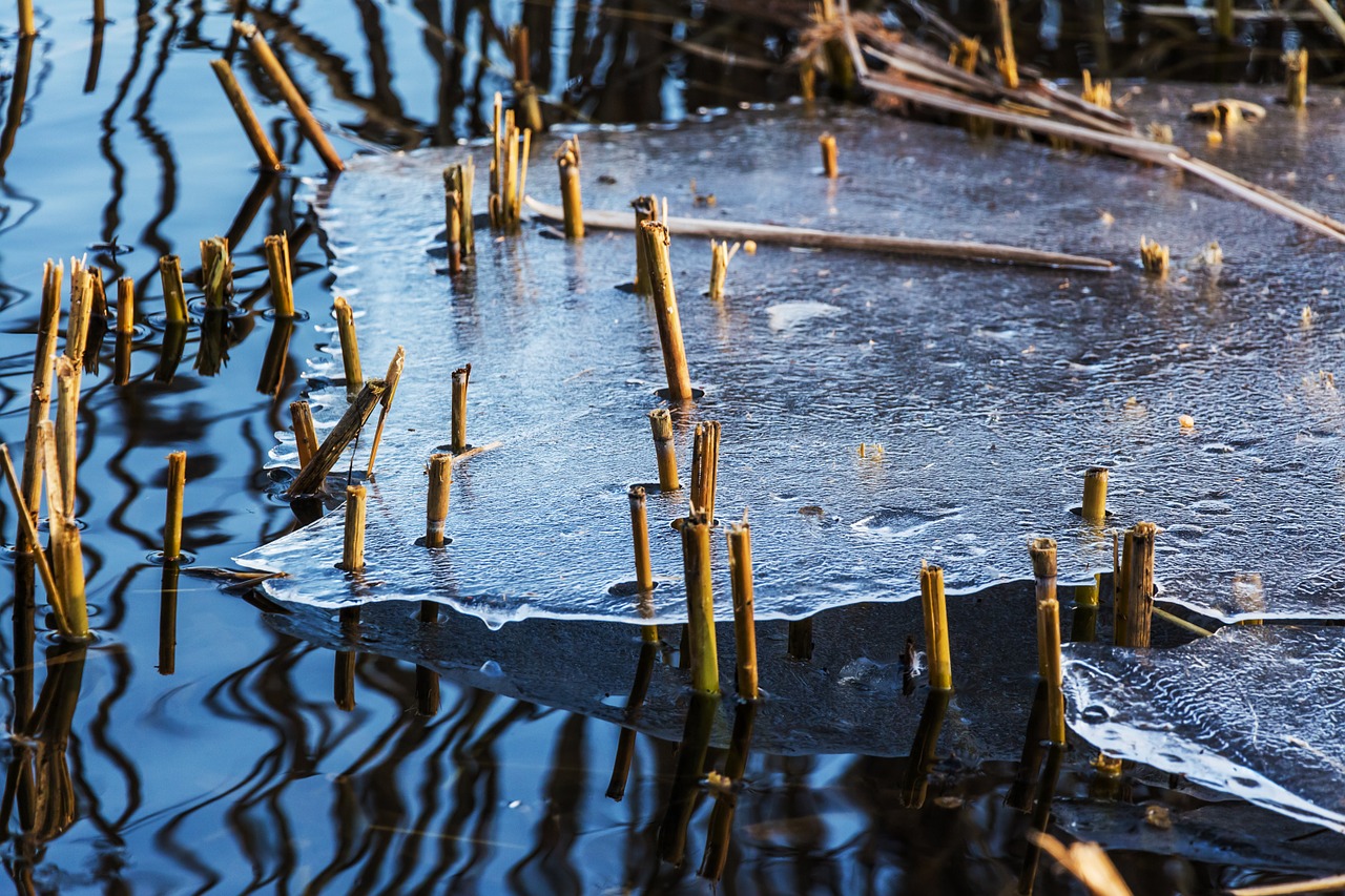 ice winter thaw free photo