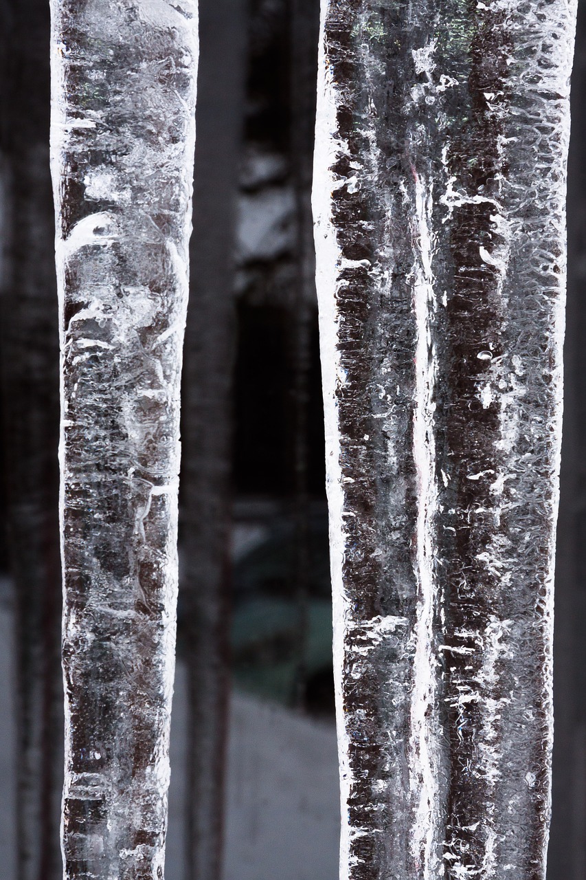 ice icicle window free photo