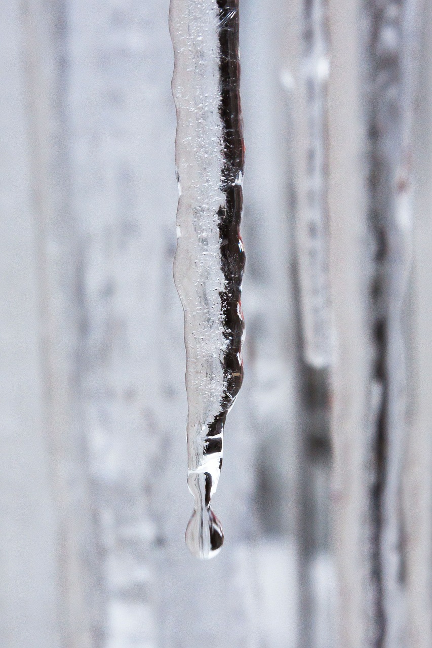 ice icicle drip free photo