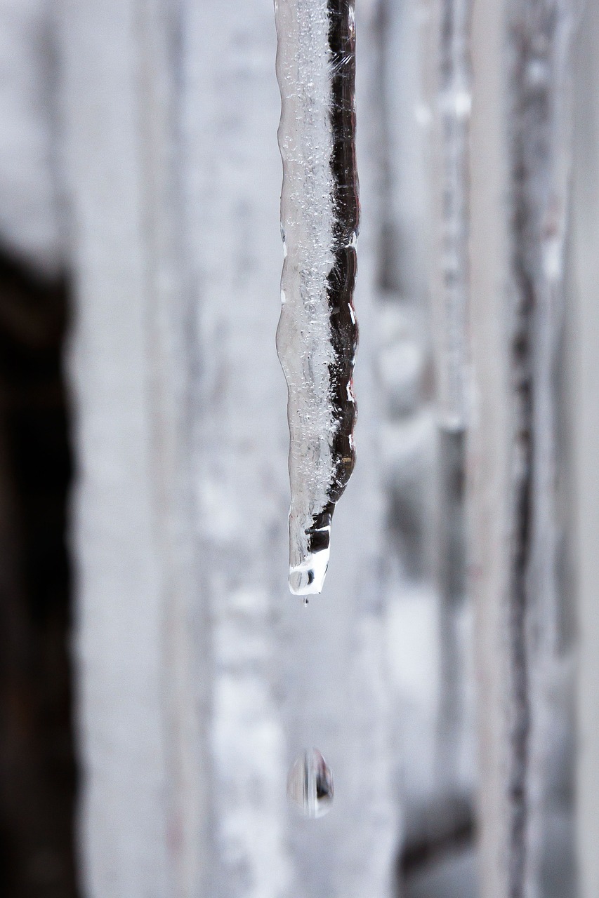 ice icicle drip free photo