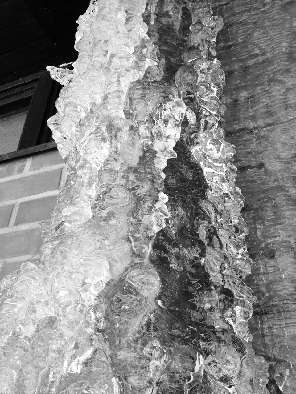 ice black and white frozen free photo