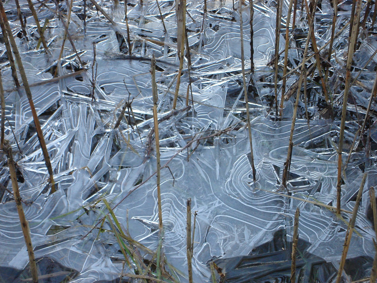 ice sheet sheet of ice free photo