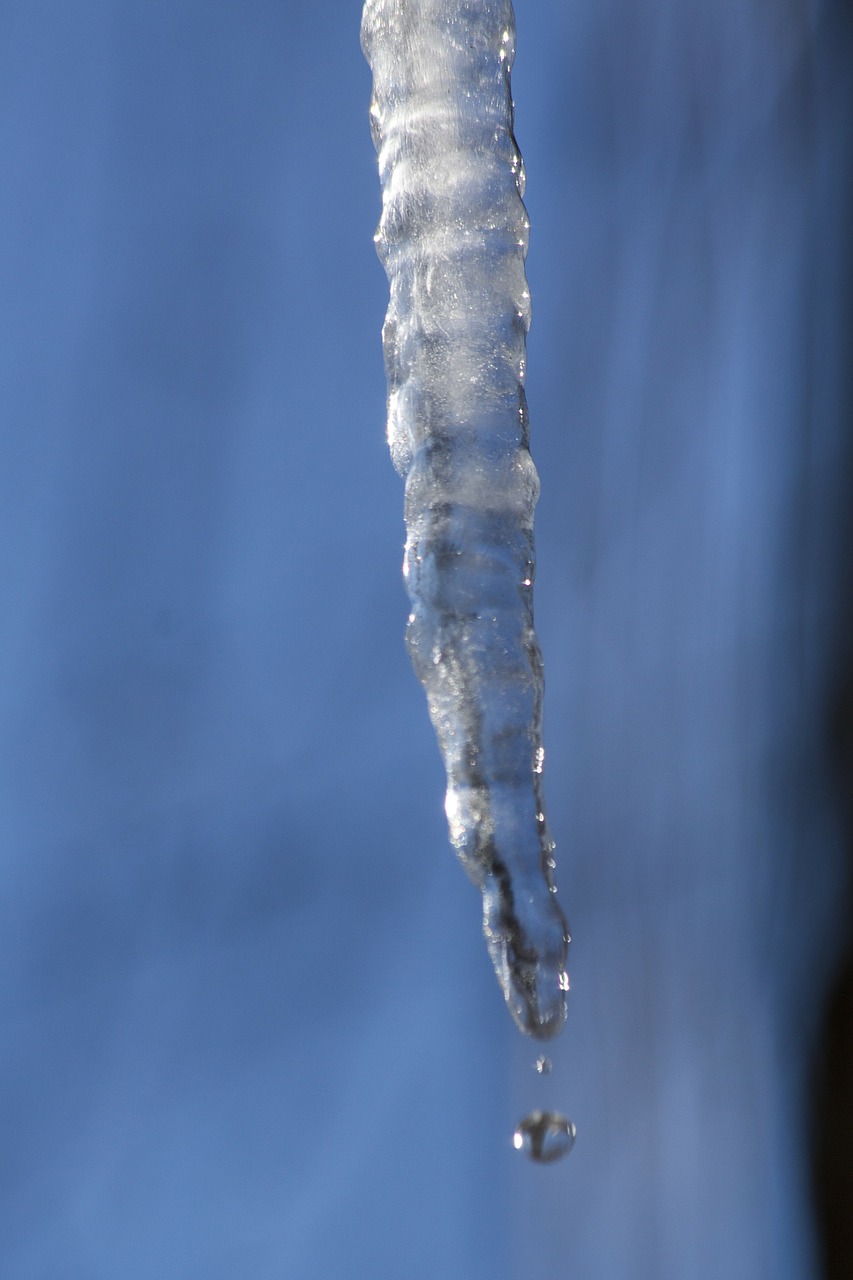 ice icicle cold free photo