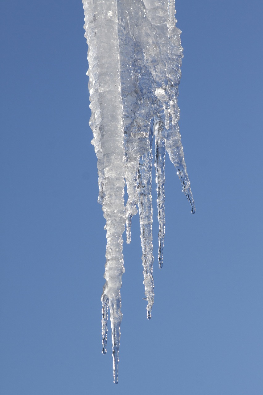 ice icicle cold free photo