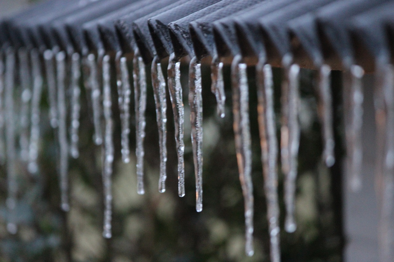 ice icicle winter free photo