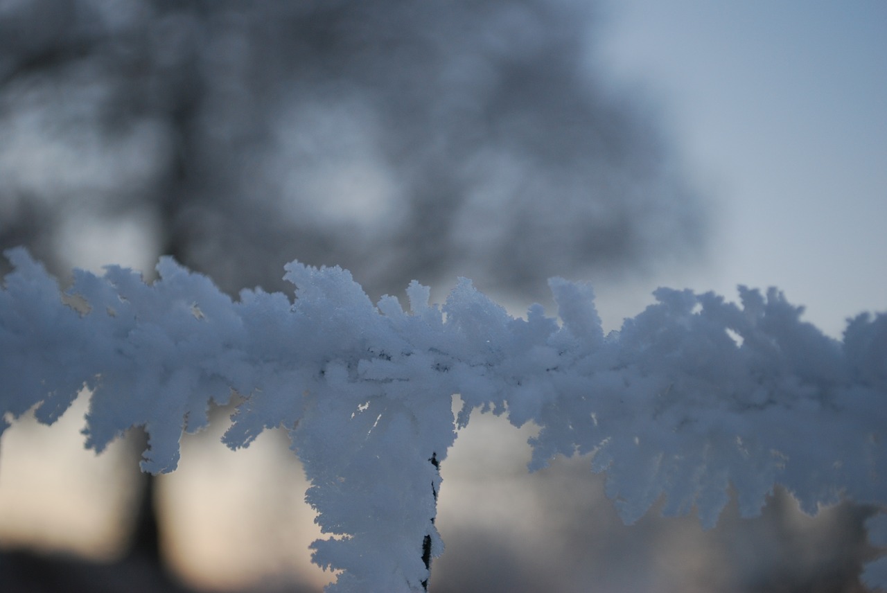 ice frost ice crystals free photo