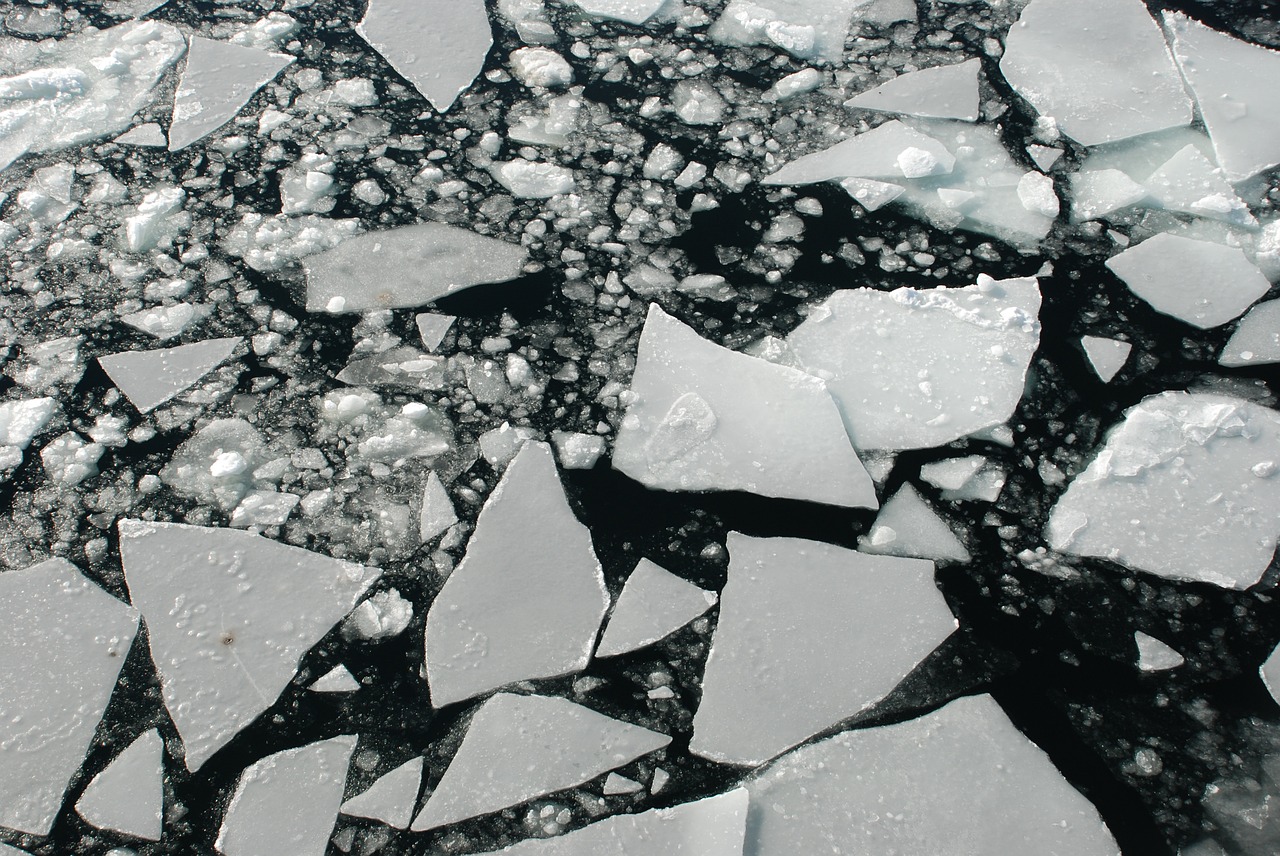 ice sea arctic free photo
