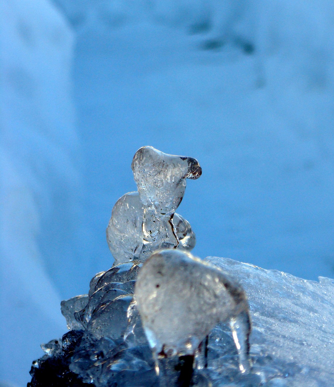 ice ice sculpture animals free photo