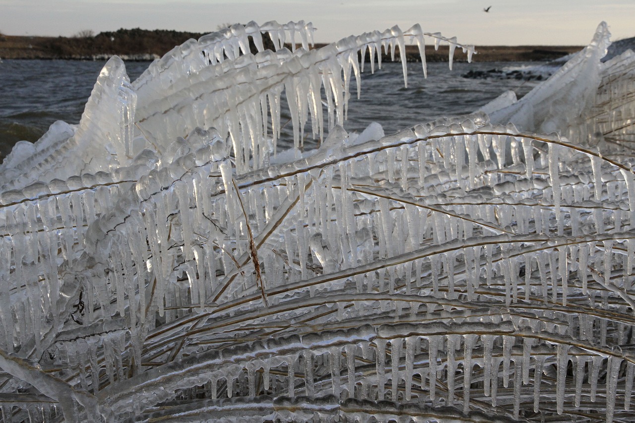 ice winter ijsselmeer free photo