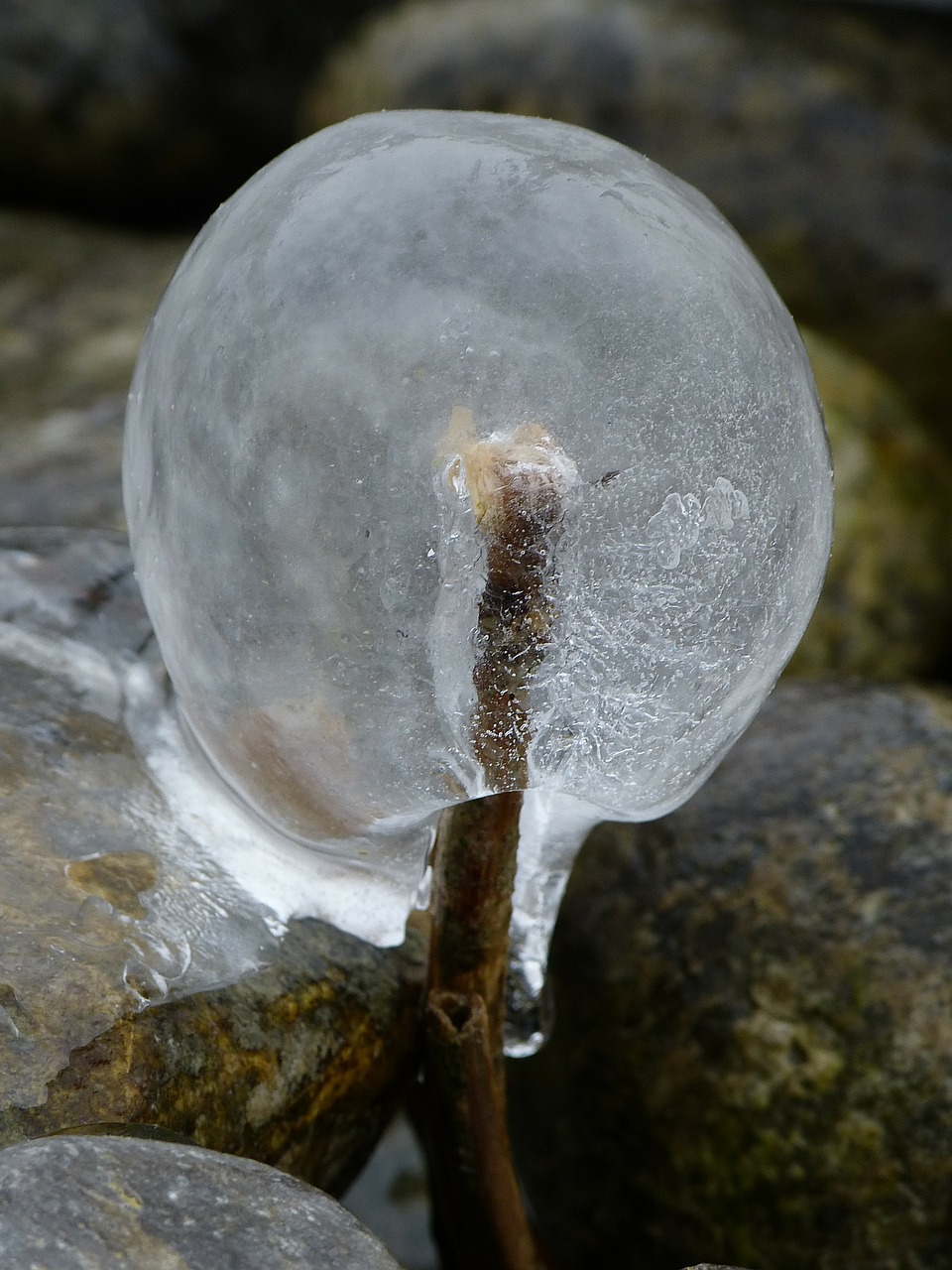 ice frozen ball free photo