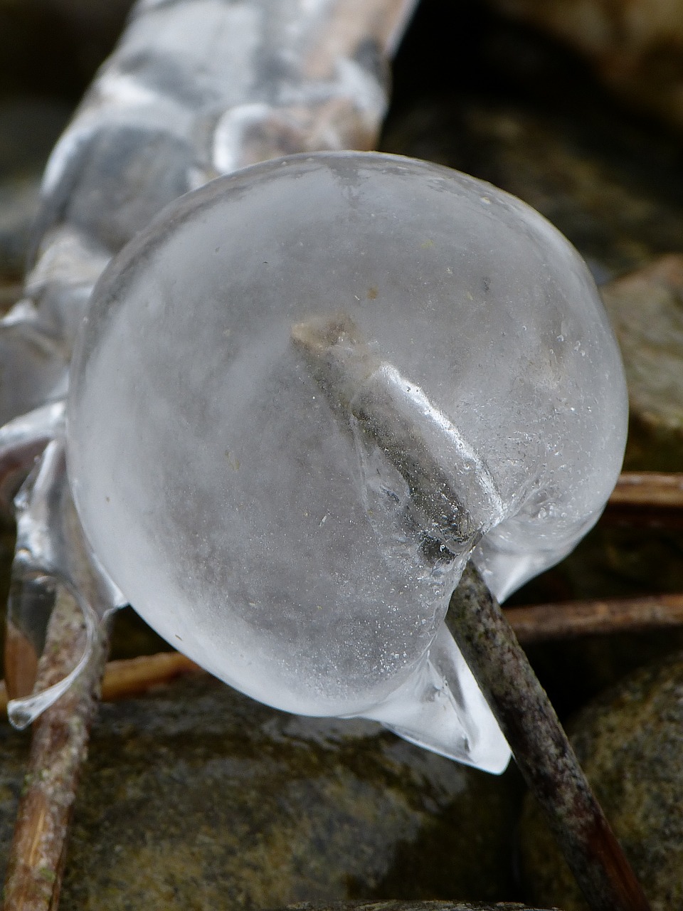 ice frozen ball free photo