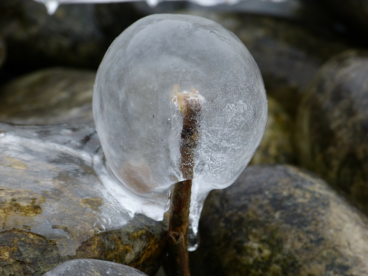 ice frozen ball free photo