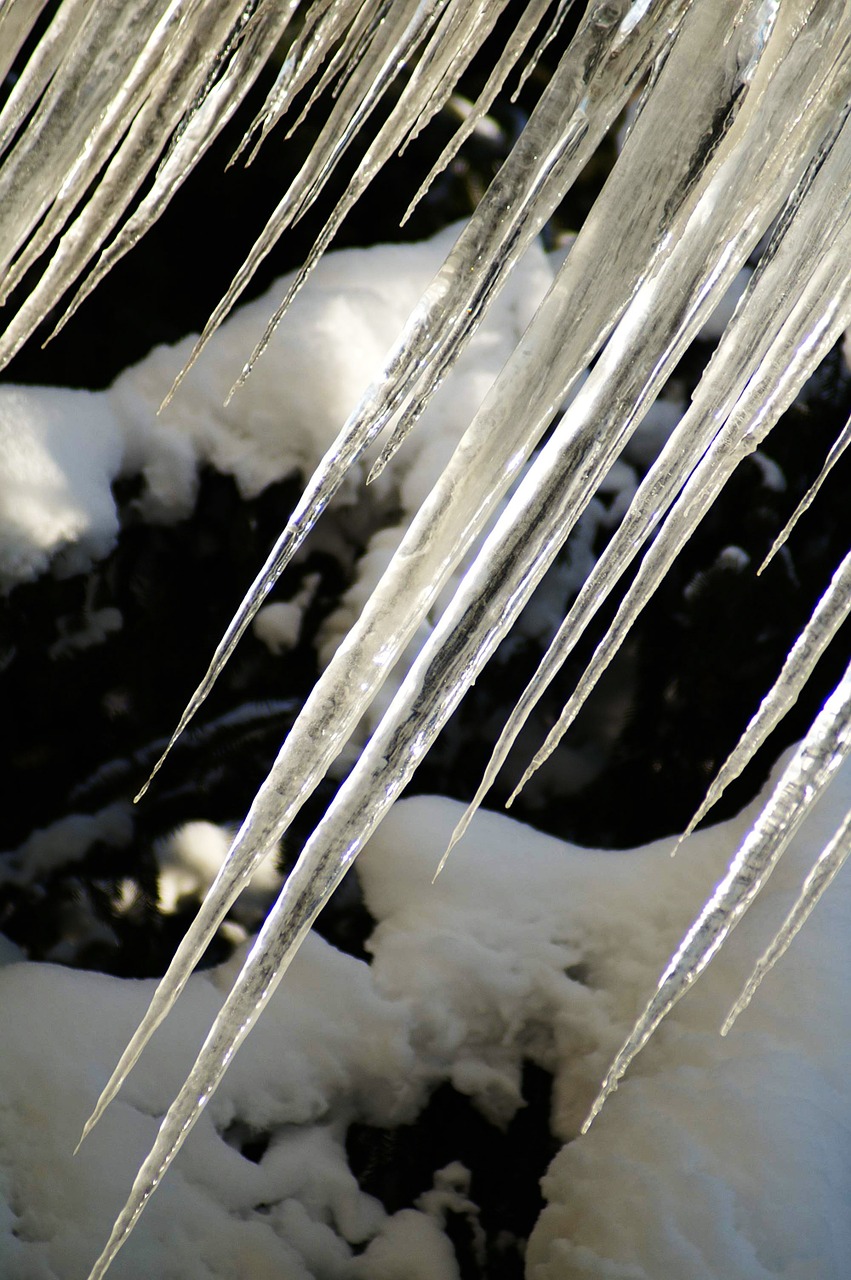 icicle ice winter free photo