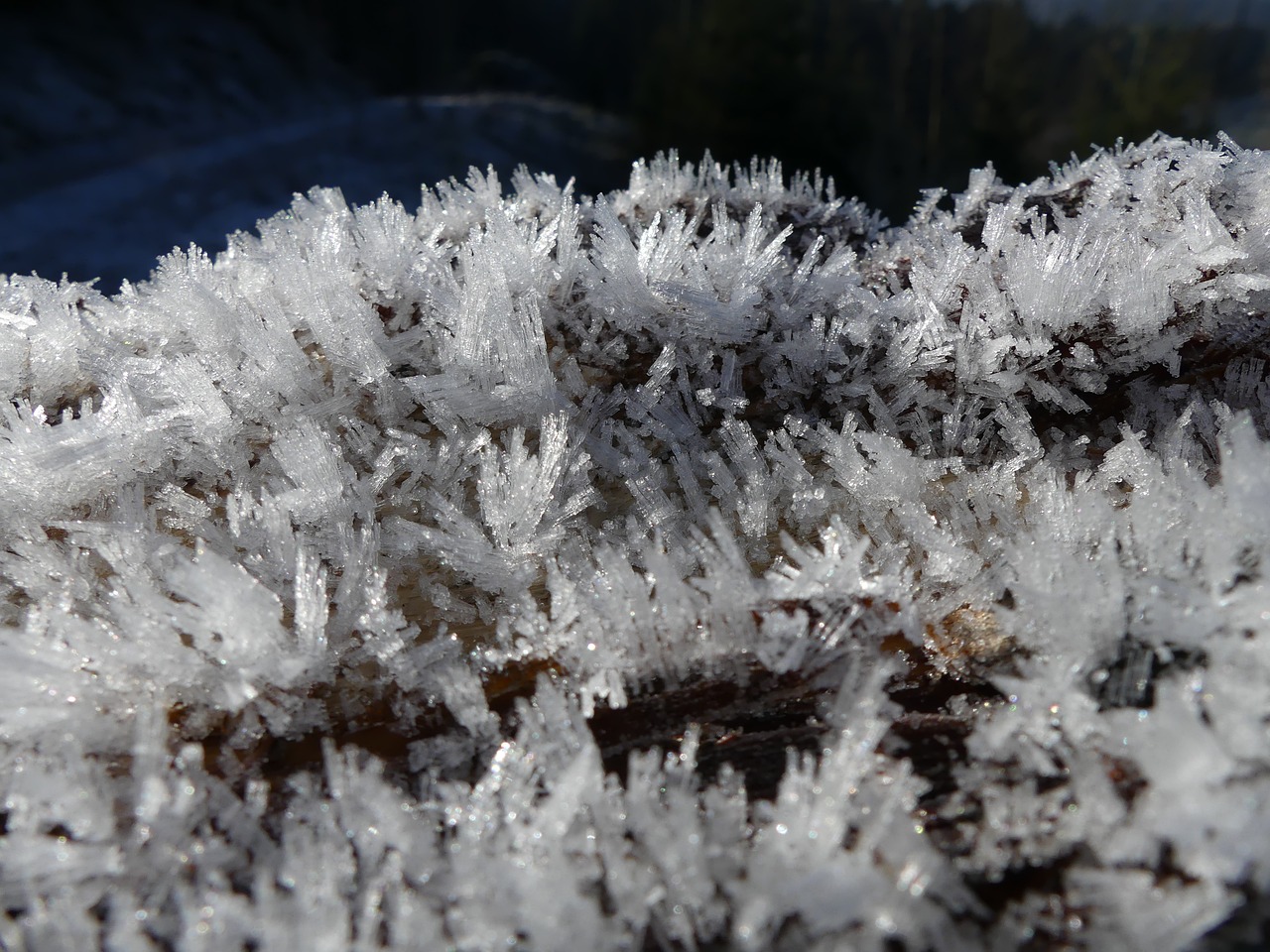 ice crystal winter ice free photo