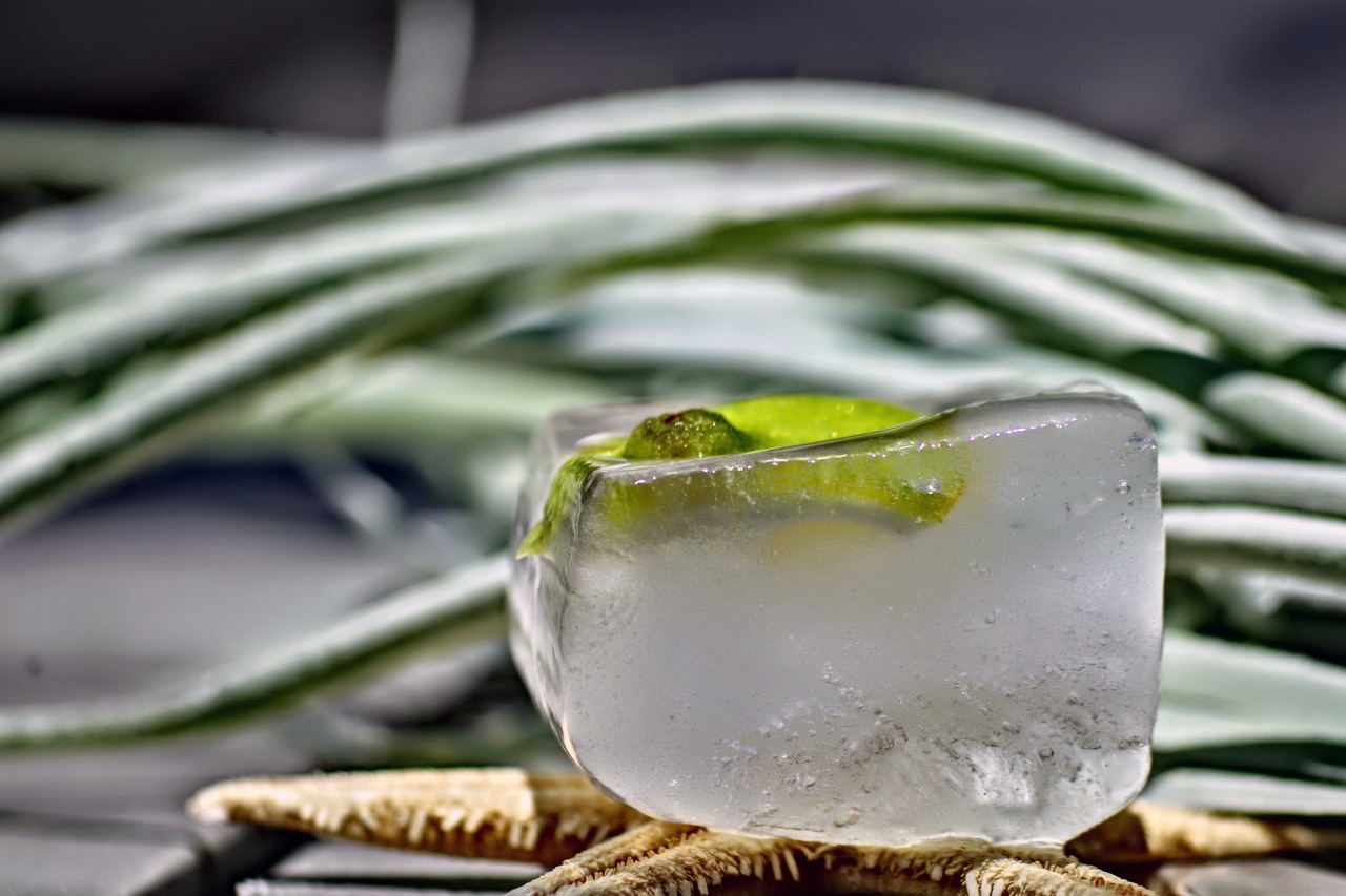 ice cubes  lime  ice free photo