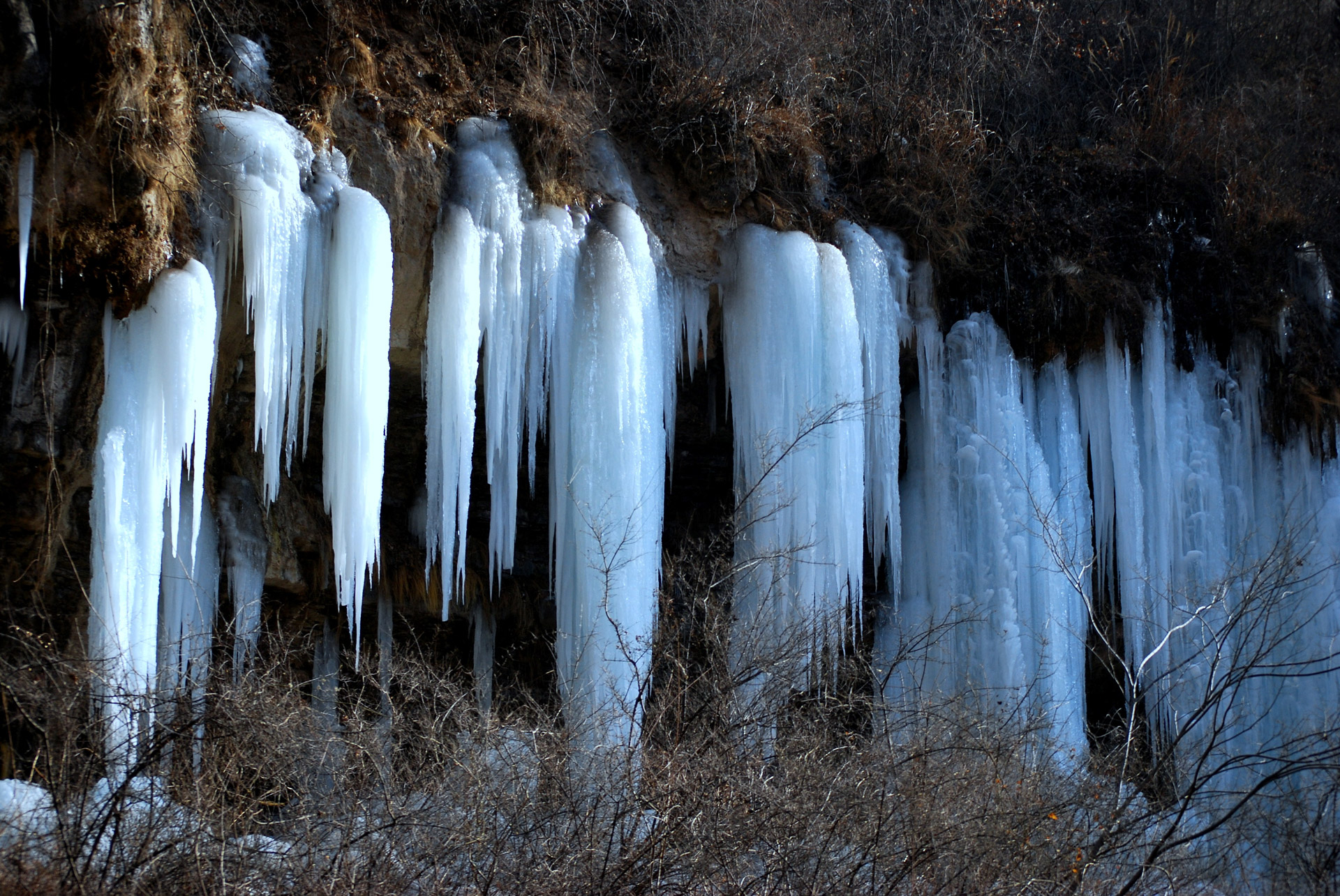 ice frozen drip free photo