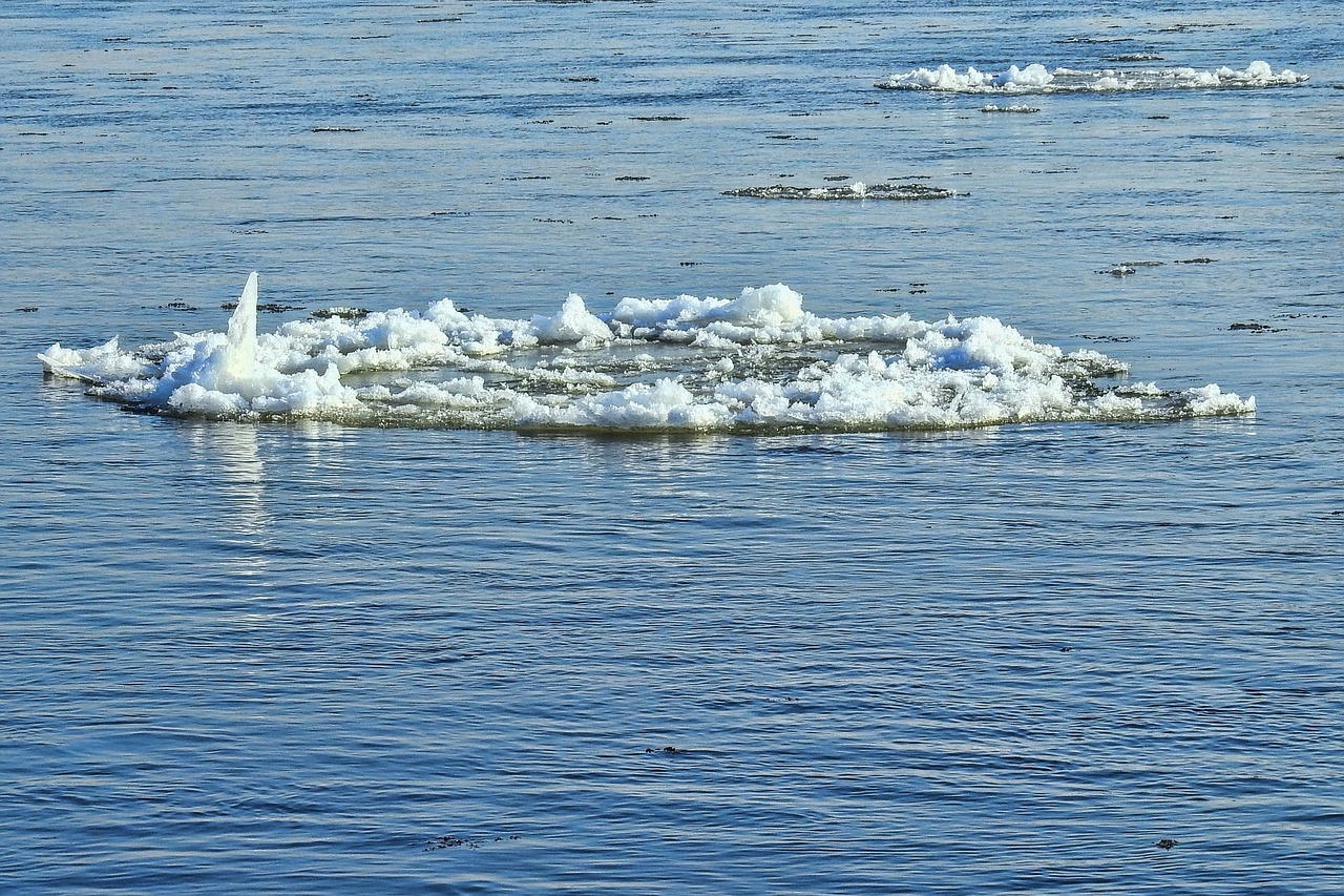 ice floe drift ice waters free photo