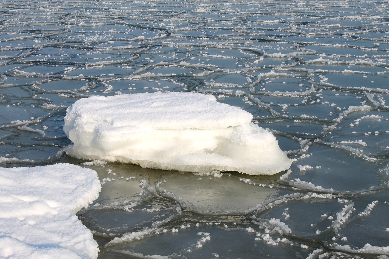 ice floes  baltic sea in winter  sea free photo